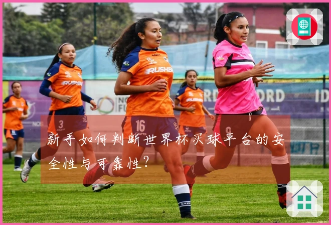 新手如何判断世界杯买球平台的安全性与可靠性？