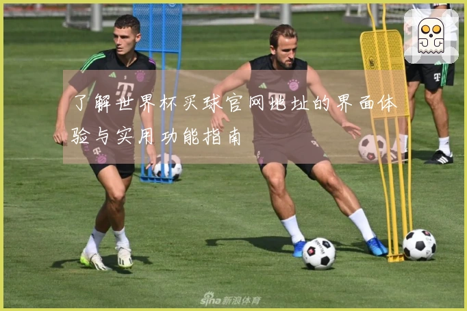 了解世界杯买球官网地址的界面体验与实用功能指南