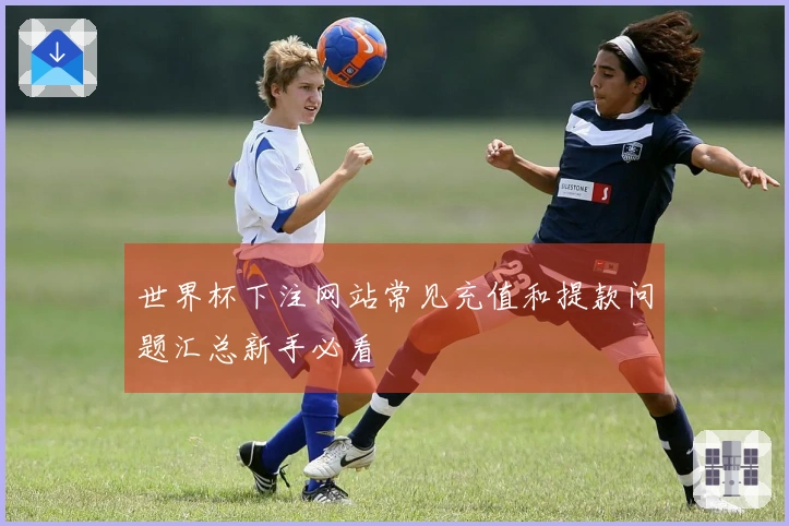 世界杯下注网站常见充值和提款问题汇总新手必看