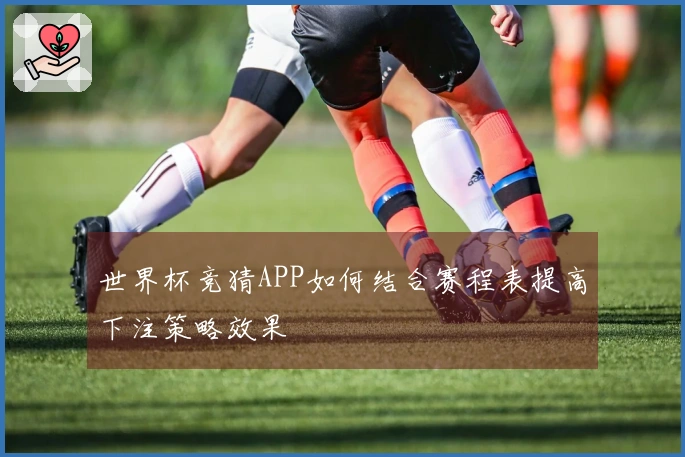 世界杯竞猜APP如何结合赛程表提高下注策略效果