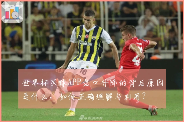世界杯买球APP盘口升降的背后原因是什么，如何正确理解与利用？