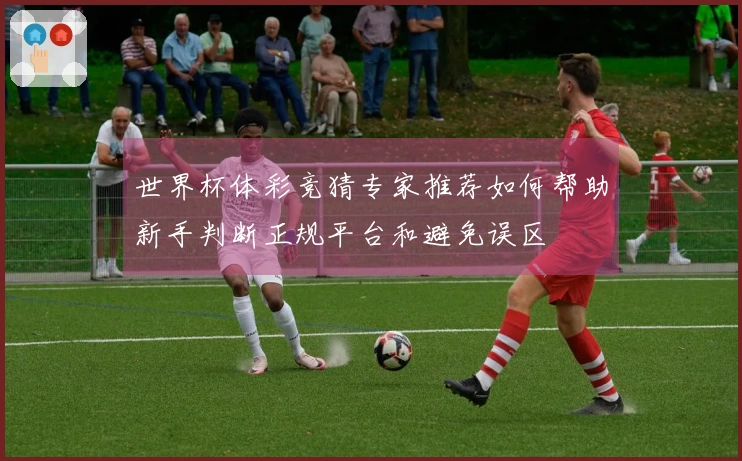 世界杯体彩竞猜专家推荐如何帮助新手判断正规平台和避免误区