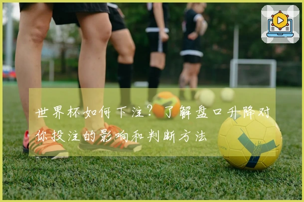 世界杯如何下注？了解盘口升降对你投注的影响和判断方法