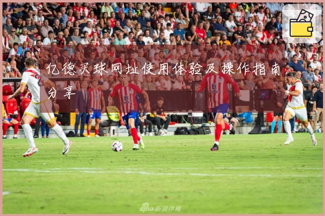 亿德买球网址使用体验及操作指南分享
