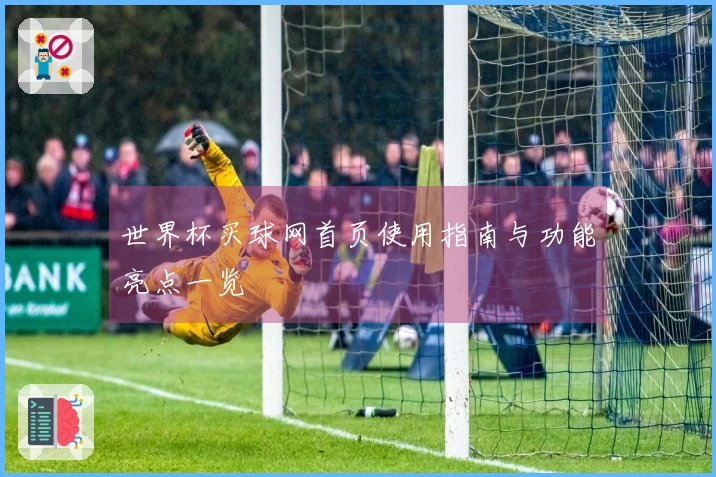 世界杯买球网首页使用指南与功能亮点一览