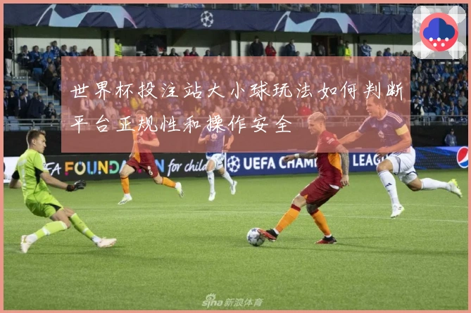 世界杯投注站大小球玩法如何判断平台正规性和操作安全