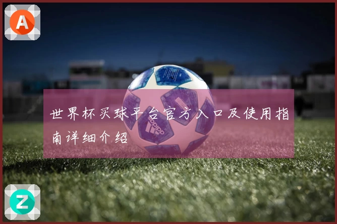 世界杯买球平台官方入口及使用指南详细介绍