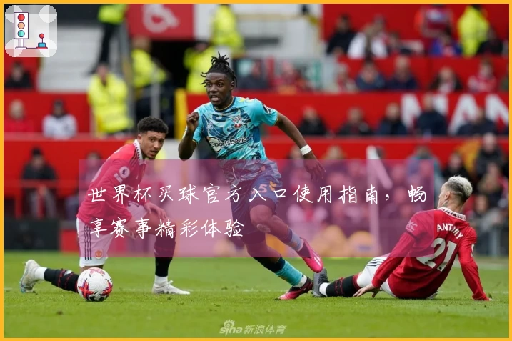 世界杯买球官方入口使用指南，畅享赛事精彩体验