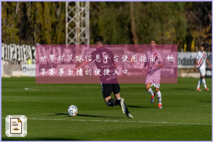 世界杯买球信息平台使用指南：畅享赛事激情的便捷入口