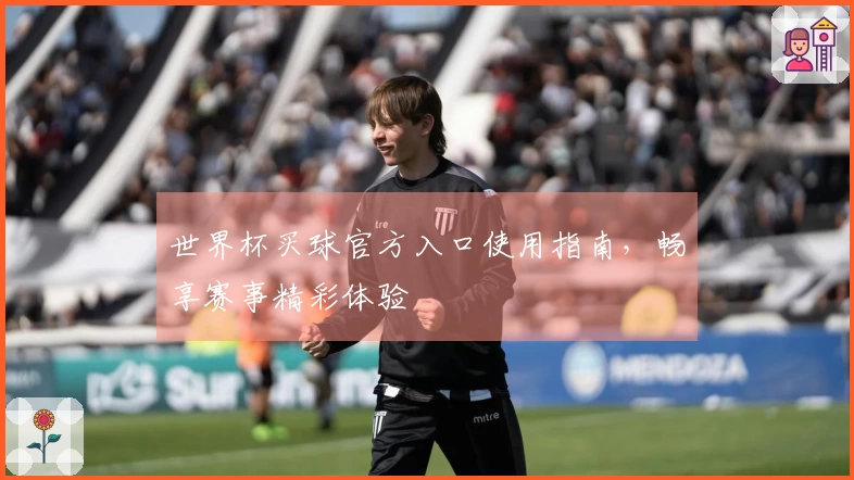 世界杯买球官方入口使用指南，畅享赛事精彩体验