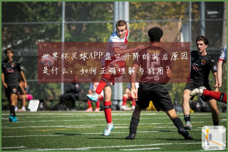 世界杯买球APP盘口升降的背后原因是什么，如何正确理解与利用？