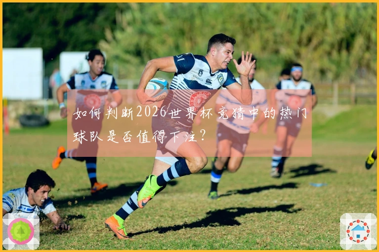 如何判断2026世界杯竞猜中的热门球队是否值得下注?