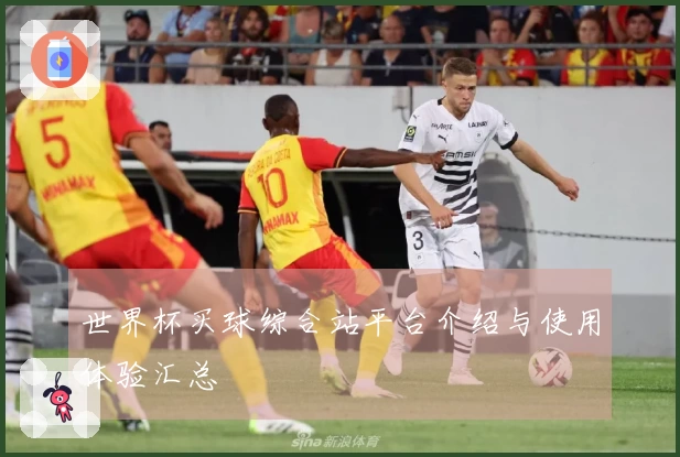 世界杯买球综合站平台介绍与使用体验汇总