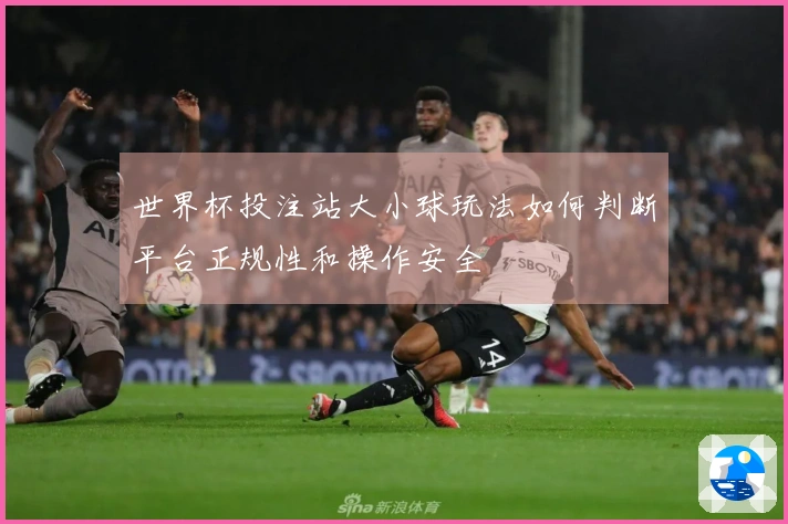 世界杯投注站大小球玩法如何判断平台正规性和操作安全