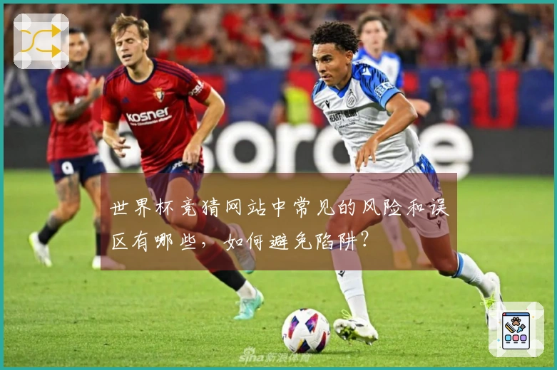 世界杯竞猜网站中常见的风险和误区有哪些，如何避免陷阱？