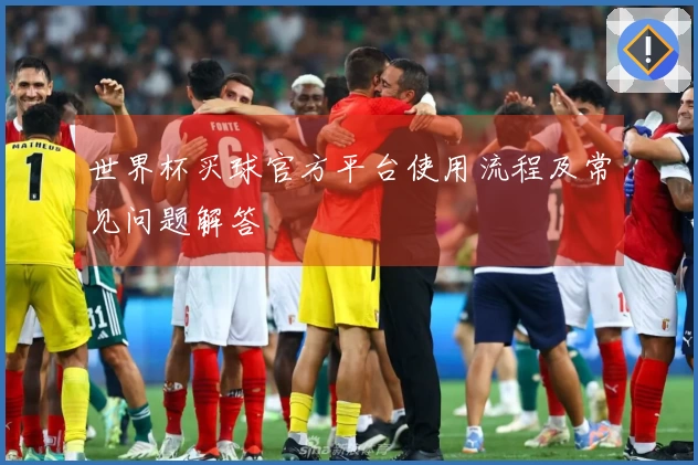 世界杯买球官方平台使用流程及常见问题解答