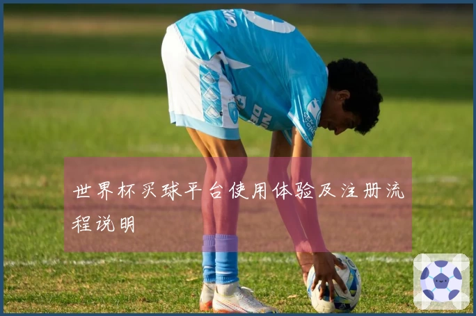 世界杯买球平台使用体验及注册流程说明