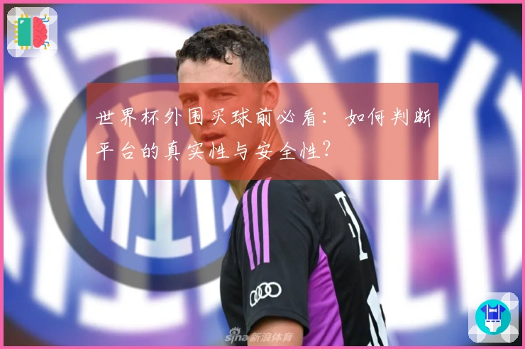 世界杯外围买球前必看：如何判断平台的真实性与安全性？