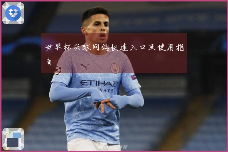 世界杯买球网站快速入口及使用指南