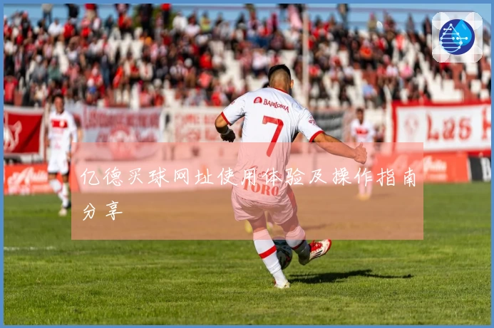 亿德买球网址使用体验及操作指南分享