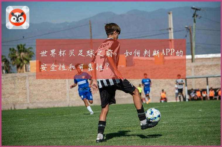 世界杯买足球之前，如何判断APP的安全性和可靠性？