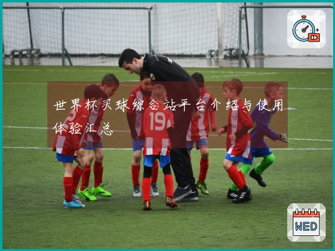 世界杯买球综合站平台介绍与使用体验汇总