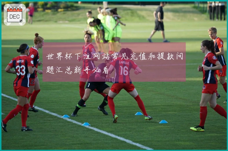 世界杯下注网站常见充值和提款问题汇总新手必看