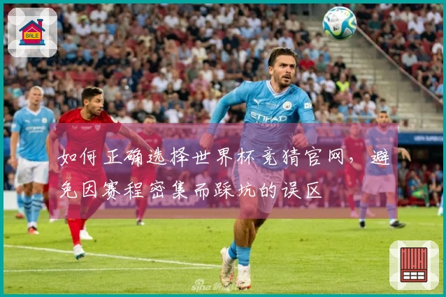 如何正确选择世界杯竞猜官网,避免因赛程密集而踩坑的误区
