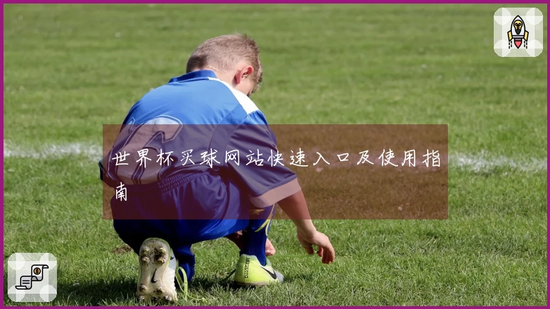世界杯买球网站快速入口及使用指南