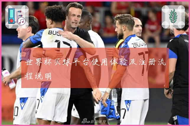 世界杯买球平台使用体验及注册流程说明